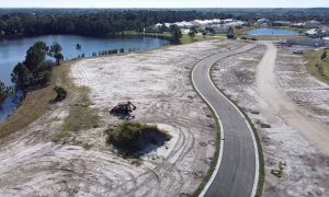 Bent Pine Drone Image